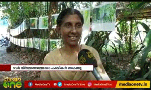 ശാന്തി വനം സമര നായിക മീന മേനോൻ അന്തരിച്ചു