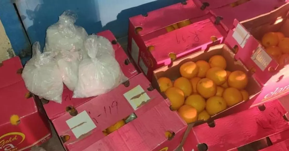 പഴവർഗ ഇറക്കുമതിക്ക് ലൈസൻസ്; ഓറഞ്ചിനൊപ്പം കടത്തിയത് 1476 കോടിയുടെ ലഹരി മരുന്ന് പഴവർഗ ഇറക്കുമതിക്ക് ലൈസൻസ്; ഓറഞ്ചിനൊപ്പം കടത്തിയത് 1476 കോടിയുടെ ലഹരി മരുന്ന്