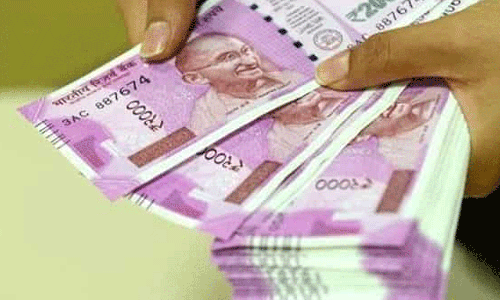 വീട്ടുപറമ്പോ കാലിസ്ഥലമോ ഉണ്ടോ?  മാസാമാസം 40,000 രൂപ വരുമാനം നേടാം