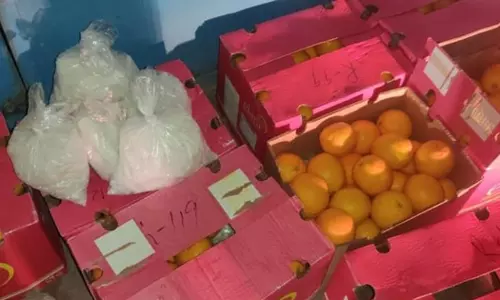 പഴവർഗ ഇറക്കുമതിക്ക് ലൈസൻസ്; ഓറഞ്ചിനൊപ്പം കടത്തിയത് 1476 കോടിയുടെ ലഹരി മരുന്ന് പഴവർഗ ഇറക്കുമതിക്ക് ലൈസൻസ്; ഓറഞ്ചിനൊപ്പം കടത്തിയത് 1476 കോടിയുടെ ലഹരി മരുന്ന്