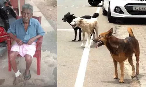 തിരുവനന്തപുരത്ത് വയോധികന് തെരുവു നായയുടെ കടിയേറ്റു