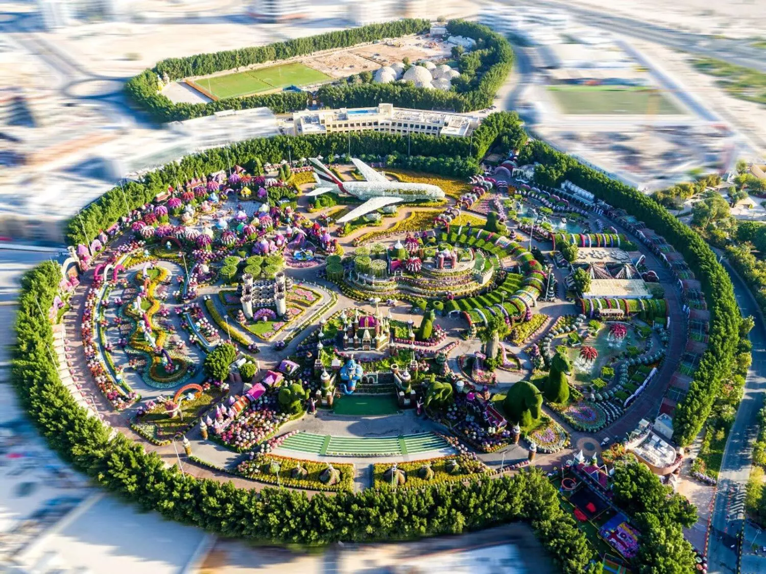 ദുബൈ മിറാക്കിൾ ഗാർഡൻ ഈ മാസം പത്തിന് തുറക്കും ദുബൈ മിറാക്കിൾ ഗാർഡൻ ഈ മാസം പത്തിന് തുറക്കും