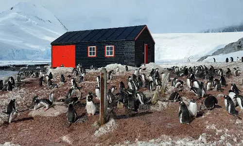 ലോകത്തെ ഏറ്റവും വിദൂര പോസ്റ്റ് ഓഫീസ് പ്രവർത്തിപ്പിക്കാനും പെൻഗ്വിനുകളെ എണ്ണാനും നാല് സ്ത്രീകൾ അന്റാർട്ടിക്കയിലേക്ക്