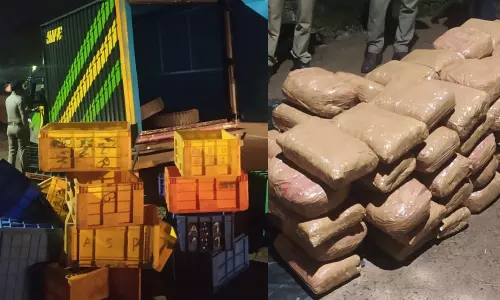 പിക്കപ്പ് ലോറിയിലെ രഹസ്യ അറയിൽ കഞ്ചാവ് പൊതികള്‍; പെരിന്തൽമണ്ണയിൽ വൻ കഞ്ചാവ് വേട്ട