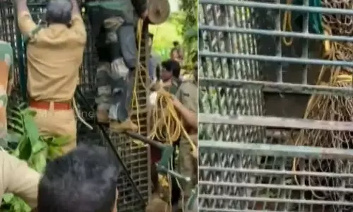 വയനാട്ടിൽ കിണറ്റിൽ വീണ പുലിയെ രക്ഷപെടുത്തി