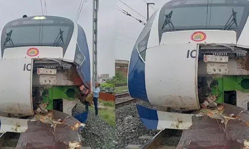 വന്ദേഭാരത് ട്രെയിനിന്‍റെ മുന്‍ഭാഗം തകര്‍ന്ന സംഭവം: പോത്തുകളുടെ ഉടമയ്ക്കെതിരെ കേസെടുത്തു