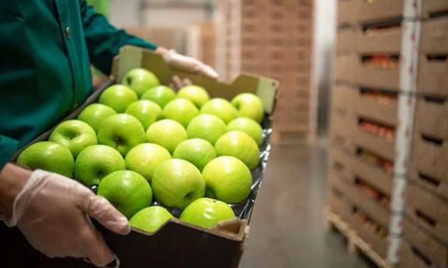 പഴം ഇറക്കുമതിയുടെ മറവിൽ വീണ്ടും വൻ ലഹരികടത്ത്; 502 കോടിയുടെ കൊക്കെയ്ൻ പിടികൂടി