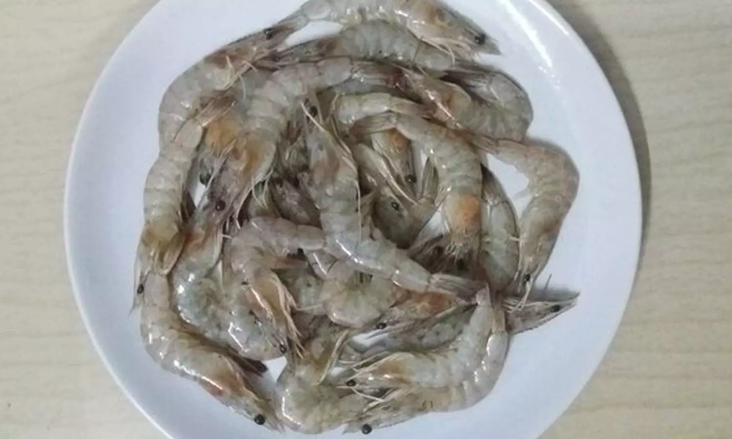 ഇന്ത്യന് ചെമ്മീൻ ഖത്തറിലെ മാർക്കറ്റിൽ നിന്ന് പിൻവലിക്കും ഇന്ത്യന് ചെമ്മീൻ ഖത്തറിലെ മാർക്കറ്റിൽ നിന്ന് പിൻവലിക്കും