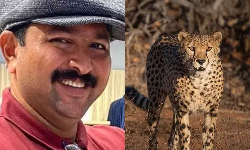 ചീറ്റയെ കുറിച്ചുള്ള പോസ്റ്റ് ഇന്ത്യന്‍ സംസ്‌കാരത്തെ അവഹേളിക്കുന്നെന്ന് പരാതി; ​​സാമൂഹിക പ്രവർത്തകൻ അറസ്റ്റിൽ