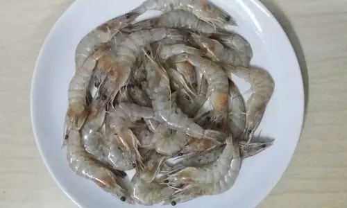 ഇന്ത്യന്‍ ചെമ്മീൻ ഖത്തറിലെ മാർക്കറ്റിൽ നിന്ന് പിൻവലിക്കും