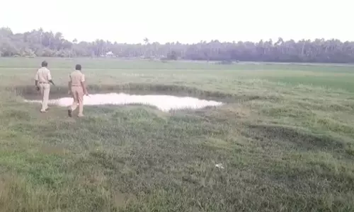 തൃശൂരിൽ കുളത്തിൽ വീണ് അമ്മയും മകളും മരിച്ചു തൃശൂരിൽ കുളത്തിൽ വീണ് അമ്മയും മകളും മരിച്ചു