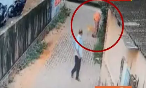 കളമശ്ശേരിയിൽ പ്രഭാതസവാരിക്കിറങ്ങിയ 12 പേരെ തെരുവുനായ കടിച്ചു