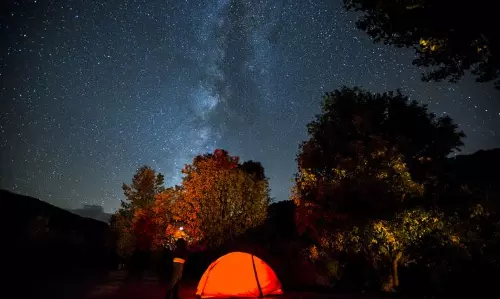 വയനാടിന്‍റെ രാത്രിസൗന്ദര്യം നുകരാം; കെ.എസ്.ആര്‍.ടി.സിയുടെ വൈൽഡ് ലൈഫ് നൈറ്റ് സഫാരിക്ക് ഇന്ന് തുടക്കം