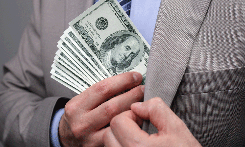 ഡോളറിൽ വരുമാനം; ഈ പച്ചക്കറി നിങ്ങളെ കയറ്റുമതി സംരംഭകനാക്കും