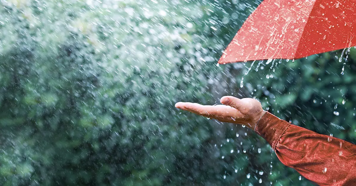 കനത്ത മഴയക്ക് സാധ്യത; സംസ്ഥാനത്ത് ഇന്ന് 10 ജില്ലകളില് യെല്ലോ അലര്ട്ട് കനത്ത മഴയക്ക് സാധ്യത; സംസ്ഥാനത്ത് ഇന്ന് 10 ജില്ലകളില് യെല്ലോ അലര്ട്ട്