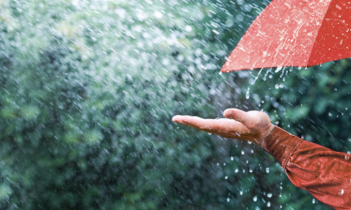 കനത്ത മഴയക്ക് സാധ്യത; സംസ്ഥാനത്ത് ഇന്ന് 10 ജില്ലകളില്‍ യെല്ലോ അലര്‍ട്ട്