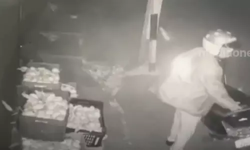 പരാതിയില്ലെന്ന് കടയുടമ; പൊലീസുകാരൻ മാങ്ങ മോഷ്‌ടിച്ച കേസ് അവസാനിപ്പിച്ചു