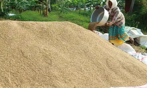ആവശ്യങ്ങൾ സർക്കാർ അംഗീകരിച്ചു; സമരം അവസാനിപ്പിച്ച് മില്ലുടമകൾ