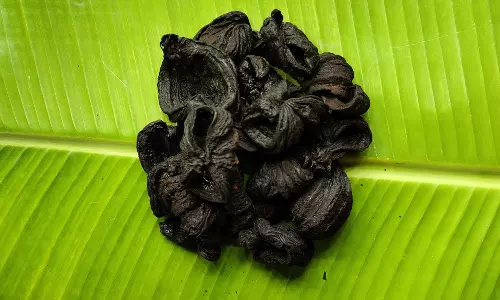 തടി കുറക്കാൻ കുടംപുളി