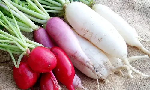 റാഡിഷ് എന്തുകൊണ്ട് നിങ്ങളുടെ ഡയറ്റില്‍ ഉള്‍പ്പെടുത്തണം; നാലു കാരണങ്ങള്‍