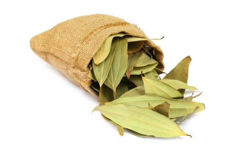 ബേ ലീഫ് എന്തുകൊണ്ട് ഭക്ഷണത്തിൽ ചേർക്കണം? അറിയാം ആരോഗ്യഗുണങ്ങൾ