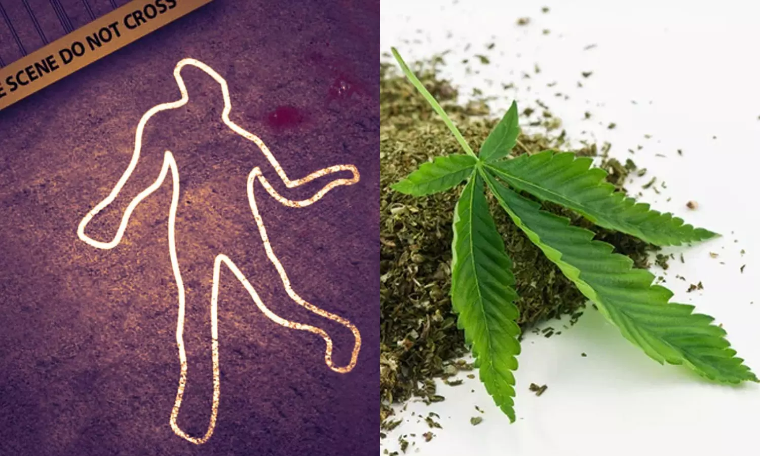 കഞ്ചാവ് വാങ്ങാൻ പണം നൽകിയില്ല; 23കാരൻ അമ്മയെ തല്ലിക്കൊന്നു