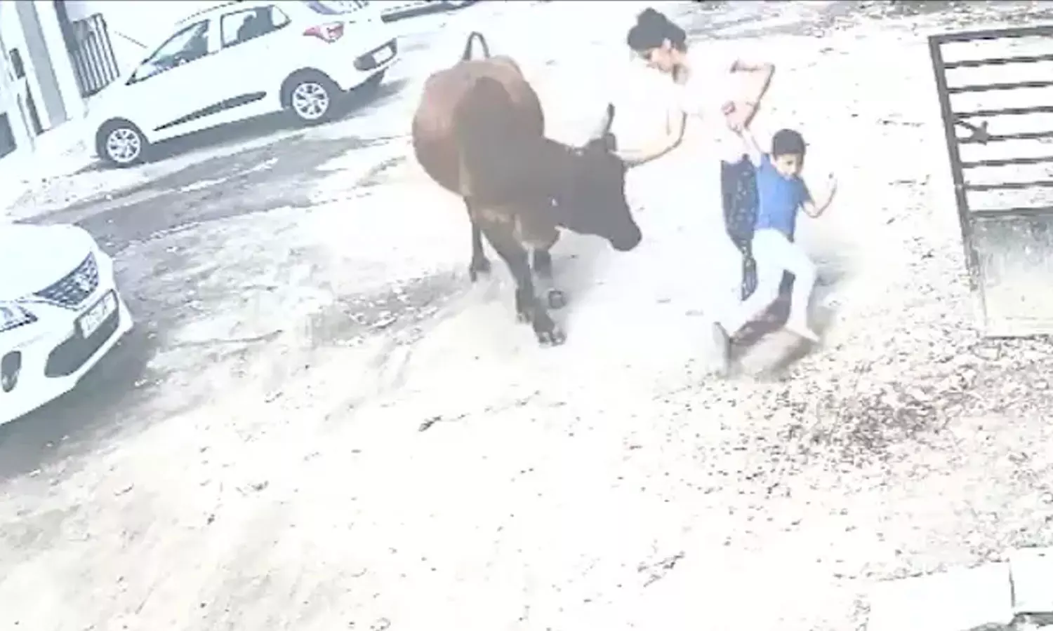 കുട്ടിയെ കുത്താൻ പാഞ്ഞടുത്ത് പശു; കൊമ്പിൽ പിടിച്ച് നേരിട്ട് മകനെ രക്ഷിച്ച് മാതാവ്- വീഡിയോ കുട്ടിയെ കുത്താൻ പാഞ്ഞടുത്ത് പശു; കൊമ്പിൽ പിടിച്ച് നേരിട്ട് മകനെ രക്ഷിച്ച് മാതാവ്- വീഡിയോ