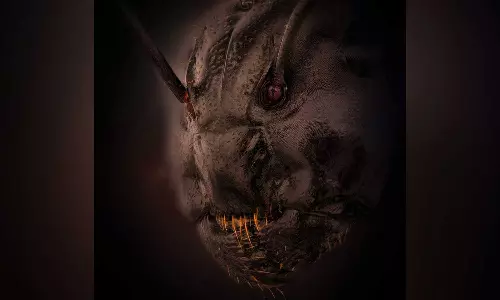 ഹൊറര്‍ ചിത്രമല്ല; സാക്ഷാല്‍ ഉറുമ്പിന്‍റെ മുഖം! ഞെട്ടിച്ച് വൈറല്‍ ചിത്രം