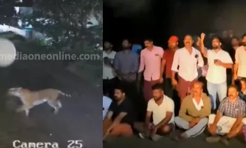 ചീരാലിൽ വീണ്ടും കടുവ ആക്രമണം; രാപ്പകൽ സമരവുമായി നാട്ടുകാർ