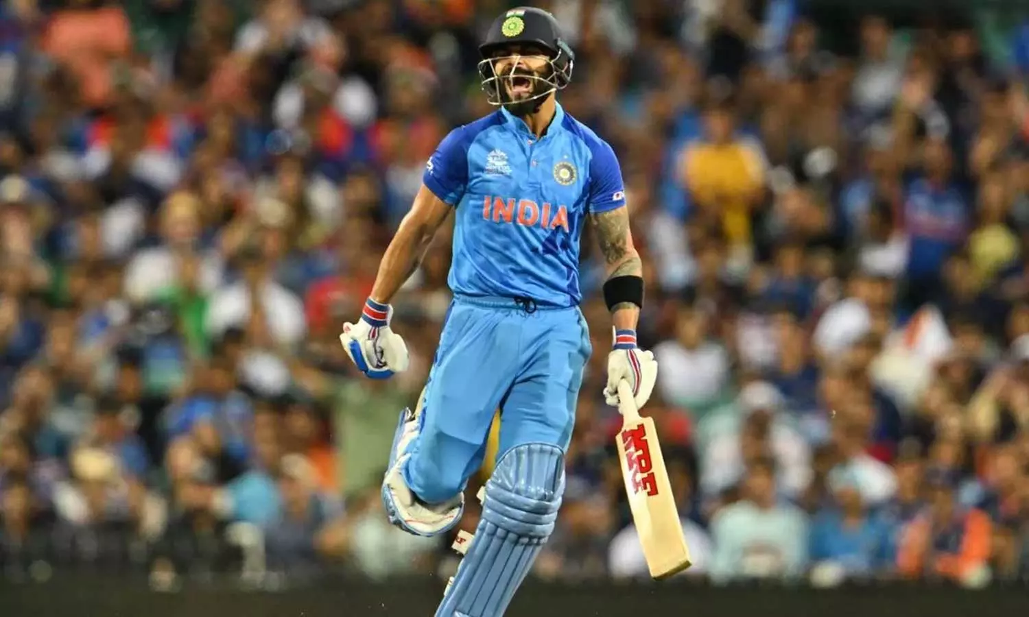 21 ഇന്നിങ്സിൽ 12 ഫിഫ്റ്റി, 989 റൺസ്, 90 ശരാശരി! ടി20 കിങ് കോഹ്ലി 21 ഇന്നിങ്സിൽ 12 ഫിഫ്റ്റി, 989 റൺസ്, 90 ശരാശരി! ടി20 കിങ് കോഹ്ലി