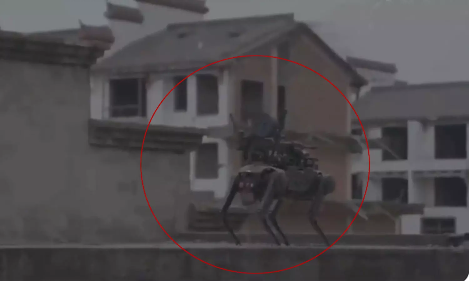 യുദ്ധ ഭൂമിയിൽ ഇനി പട്ടി ഷോയും; ആക്രമണത്തിന് നായ റോബോട്ട് ഇറക്കി ചൈന യുദ്ധ ഭൂമിയിൽ ഇനി പട്ടി ഷോയും; ആക്രമണത്തിന് നായ റോബോട്ട് ഇറക്കി ചൈന