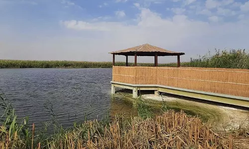 രണ്ടു വർഷത്തിലേറെയായി അടച്ചിട്ടിരുന്ന ജഹ്റ നേച്ചർ റിസർവ് സന്ദർശകർക്കായി തുറന്നു രണ്ടു വർഷത്തിലേറെയായി അടച്ചിട്ടിരുന്ന ജഹ്റ നേച്ചർ റിസർവ് സന്ദർശകർക്കായി തുറന്നു