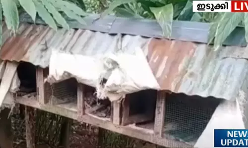 വണ്ടിപ്പെരിയാറിൽ ജനവാസമേഖലയിൽ പുലിയിറങ്ങി വണ്ടിപ്പെരിയാറിൽ ജനവാസമേഖലയിൽ പുലിയിറങ്ങി