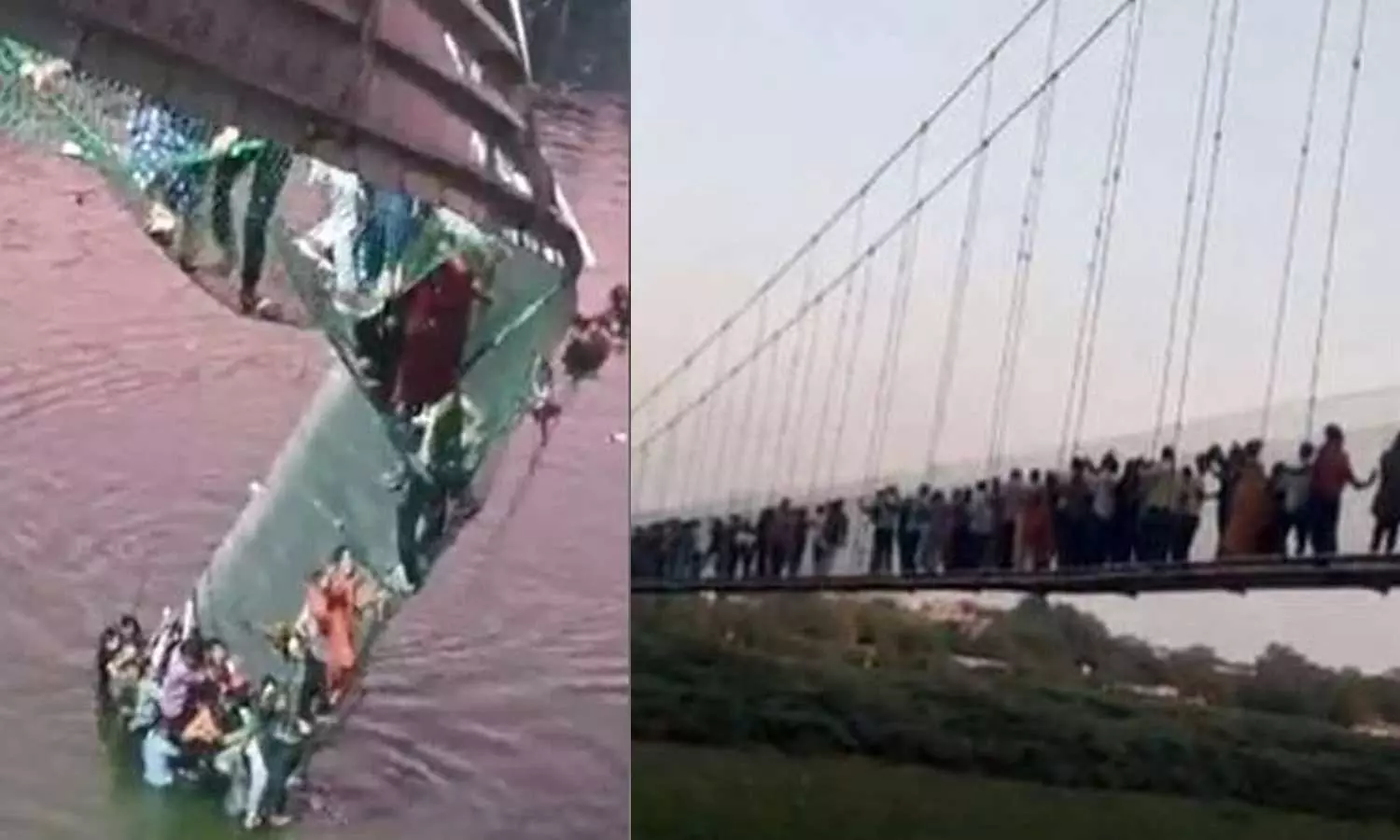 ചില ആളുകൾ മനഃപൂർവം  തൂക്കുപാലം കുലുക്കി, ജീവനക്കാരെ അറിയിച്ചെങ്കിലും കാര്യമുണ്ടായില്ല;  മോർബി ദുരന്തത്തിന്റെ  ഭീകരത വിവരിച്ച് സന്ദർശകർ