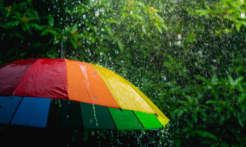 സംസ്ഥാനത്ത് മഴ ശക്തമാകുമെന്ന് മുന്നറിയിപ്പ്; ഇന്ന് ഏഴ് ജില്ലകളിൽ യെല്ലോ അലർട്ട്