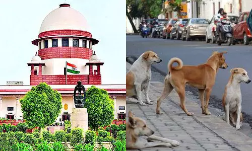 പേവിഷബാധാ വാക്സിന്റെ ​ഗുണനിലവാരം; കേന്ദ്രത്തിന് സുപ്രിംകോടതി നോട്ടീസ്