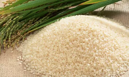 കേരളപ്പിറവിക്ക് സ്‌പെഷൽ അരി; വിലക്കയറ്റം നിയന്ത്രിക്കാൻ സർക്കാർ ഇടപെടൽ