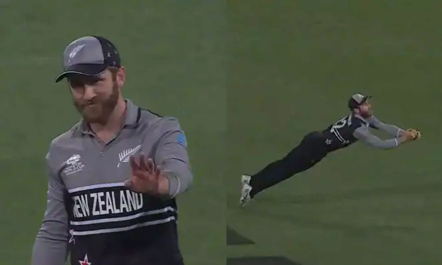 മനപ്പൂർവമല്ല, ക്യാച്ചാണെന്നാണ് കരുതിയത്: കൈ വിട്ട ക്യാച്ചിൽ വില്യംസണിന് പറയാനുള്ളത്‌