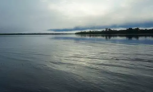 ബിഹാറിൽ ഛത് പൂജ ആഘോഷത്തിനിടെ 19 കുട്ടികൾ ഉൾപ്പെടെ 21 പേർ മുങ്ങിമരിച്ചു