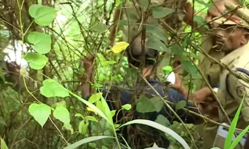 ഷാരോണ് കൊലക്കേസ്: വിഷക്കുപ്പി കണ്ടെത്തി, കുപ്പി ഒളിപ്പിച്ചത് ഗ്രീഷ്മയുടെ അമ്മാവനെന്ന് പൊലീസ് ഷാരോണ് കൊലക്കേസ്: വിഷക്കുപ്പി കണ്ടെത്തി, കുപ്പി ഒളിപ്പിച്ചത് ഗ്രീഷ്മയുടെ അമ്മാവനെന്ന് പൊലീസ്