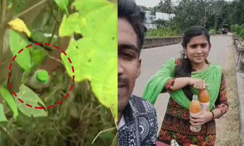 ആദ്യം കുപ്പി ഉപേക്ഷിച്ചത് വീടിന് പിൻവശത്ത്, ഇവിടെനിന്ന് അമ്മാവൻ കുളത്തിൽ കൊണ്ടിട്ടു; ഗ്രീഷ്മയുടെ വീട്ടിൽ നിന്നും കണ്ടെത്തിയത് നാലു കുപ്പികൾ ആദ്യം കുപ്പി ഉപേക്ഷിച്ചത് വീടിന് പിൻവശത്ത്, ഇവിടെനിന്ന് അമ്മാവൻ കുളത്തിൽ കൊണ്ടിട്ടു; ഗ്രീഷ്മയുടെ വീട്ടിൽ നിന്നും കണ്ടെത്തിയത് നാലു കുപ്പികൾ