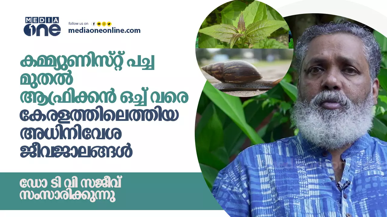 കമ്മ്യുണിസ്റ്റ് പച്ച മുതൽ ആഫ്രിക്കൻ ഒച്ച് വരെ : കേരളത്തിലെത്തിയ അധിനിവേശ ജീവജാലങ്ങൾ കമ്മ്യുണിസ്റ്റ് പച്ച മുതൽ ആഫ്രിക്കൻ ഒച്ച് വരെ : കേരളത്തിലെത്തിയ അധിനിവേശ ജീവജാലങ്ങൾ