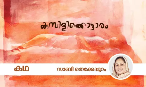 കമ്പിളിക്കൊട്ടാരം