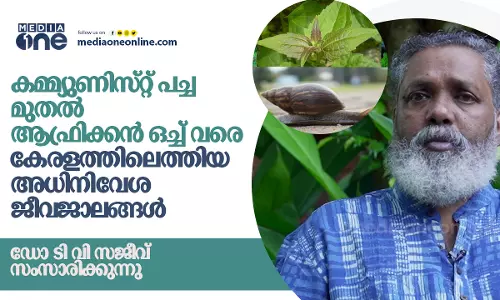 കമ്മ്യുണിസ്റ്റ് പച്ച മുതൽ ആഫ്രിക്കൻ ഒച്ച് വരെ : കേരളത്തിലെത്തിയ അധിനിവേശ ജീവജാലങ്ങൾ