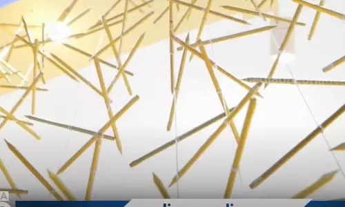 പുസ്തകോത്സവത്തിൽ പെൻസിലിൽ   തീർത്തൊരു വേറിട്ട സ്റ്റാളുമായി ബഹ്‌റൈൻ