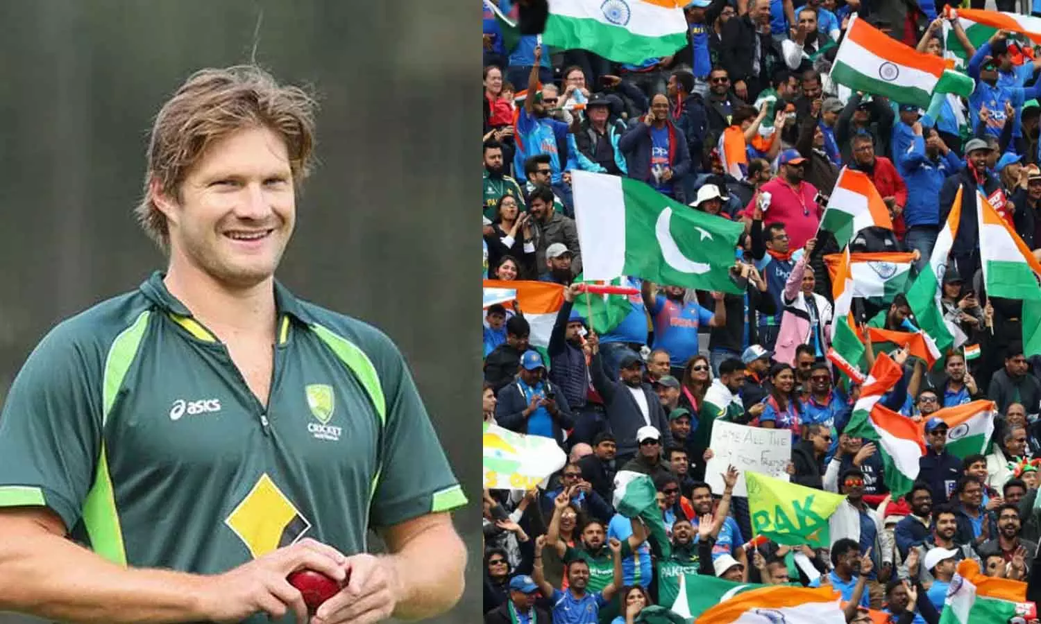 ടി20 ലോകകപ്പിൽ എല്ലാവരും കാത്തിരിക്കുന്നത് ഇന്ത്യ-പാക് ഫൈനൽ: ഷെയിൻ വാട്‌സൺ