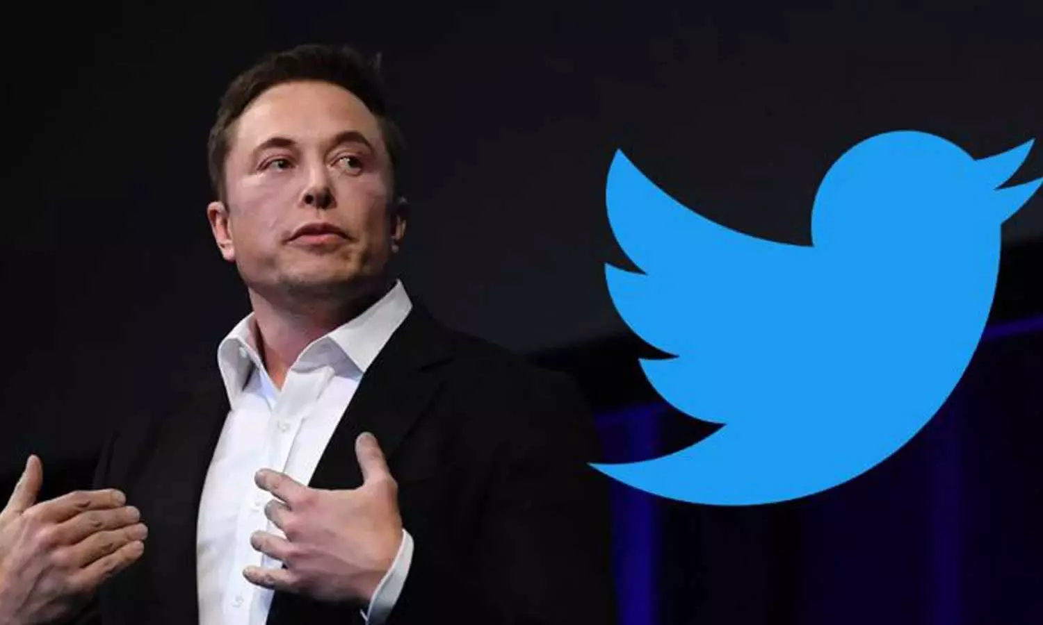 അബദ്ധം പറ്റിയതാണ്,ദയവായി തിരിച്ചുവരണം; പിരിച്ചുവിട്ട ജീവനക്കാരെ തിരിച്ചുവിളിച്ച് ട്വിറ്റർ അബദ്ധം പറ്റിയതാണ്,ദയവായി തിരിച്ചുവരണം; പിരിച്ചുവിട്ട ജീവനക്കാരെ തിരിച്ചുവിളിച്ച് ട്വിറ്റർ