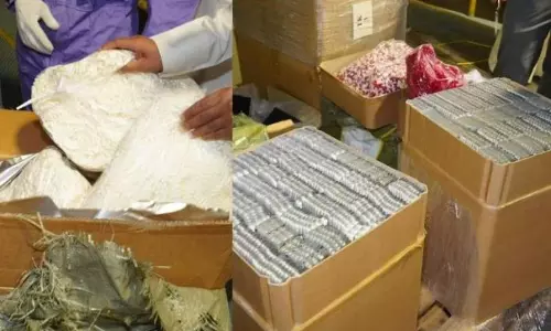 കുവൈത്തിൽ  10 ദശലക്ഷം ലിറിക്ക ഗുളികകള്‍ പിടികൂടി