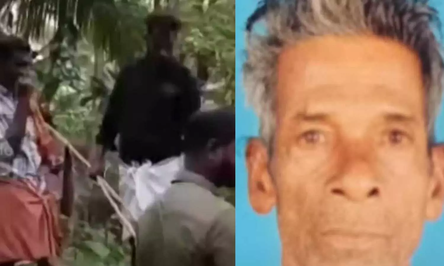 കടന്നൽകുത്തേറ്റ് വയോധികൻ മരിച്ചു കടന്നൽകുത്തേറ്റ് വയോധികൻ മരിച്ചു