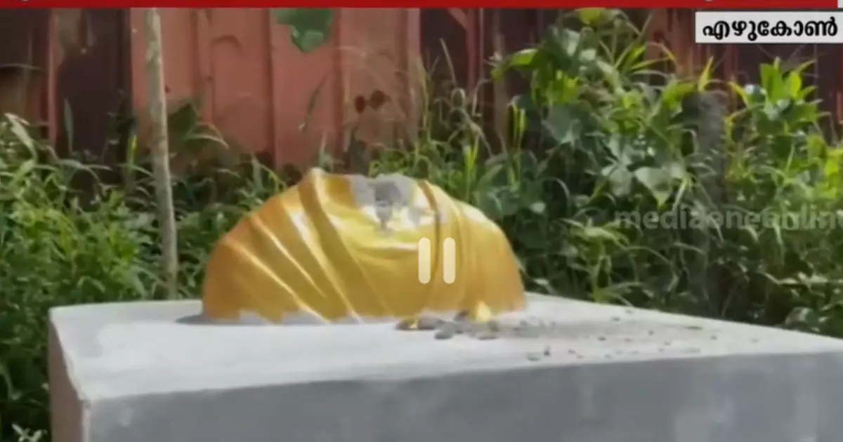 കൊല്ലത്ത് ഗാന്ധി പ്രതിമയുടെ തല തകർത്തു